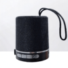 SPEAKER T&G 511